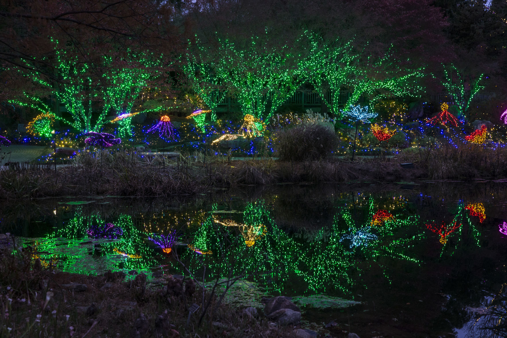 GardenFest of Lights